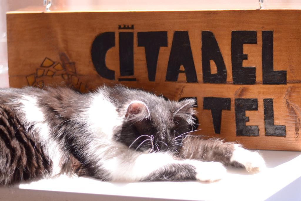 Citadel Hostel Gyulafehérvár Kültér fotó